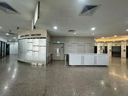 Gleneagles Hospital (D10), Retail #541211331